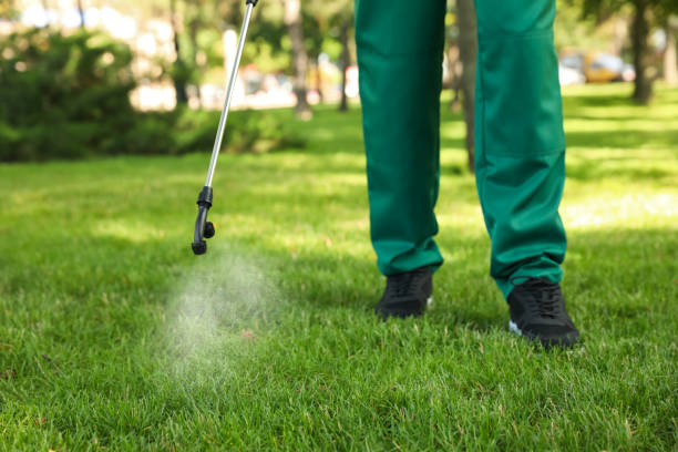 Best Cockroach Control Services  in Algonquin, IL