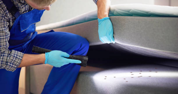 Reliable Algonquin, IL Pest Control Solutions