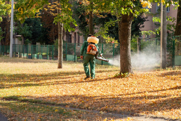 Best Rat Extermination Near Me  in Algonquin, IL