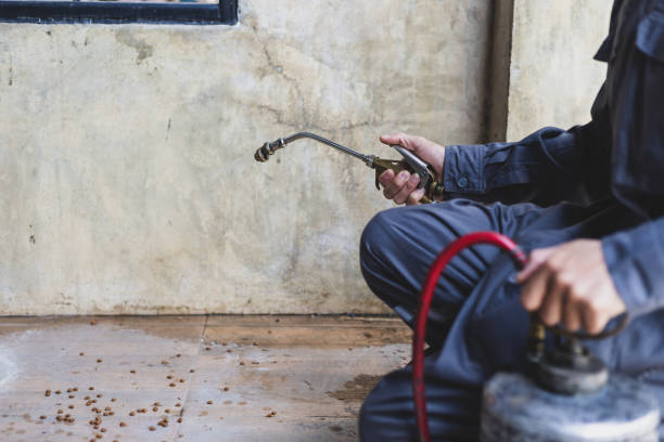 Best Pest Control Near Me  in Algonquin, IL